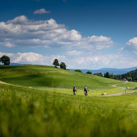Gartenloft An Der Mur Murau Kültér fotó