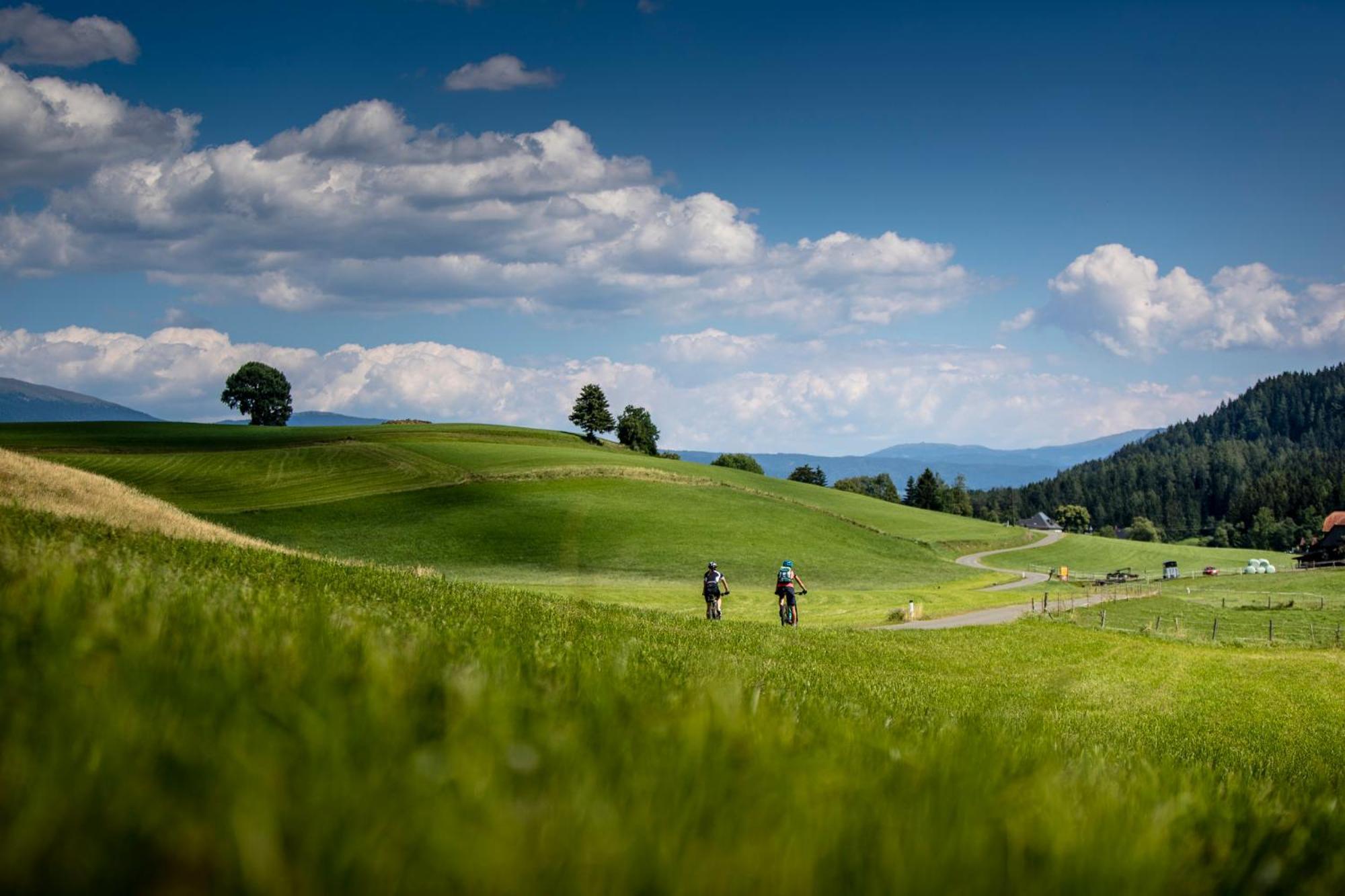 Gartenloft An Der Mur Murau Kültér fotó