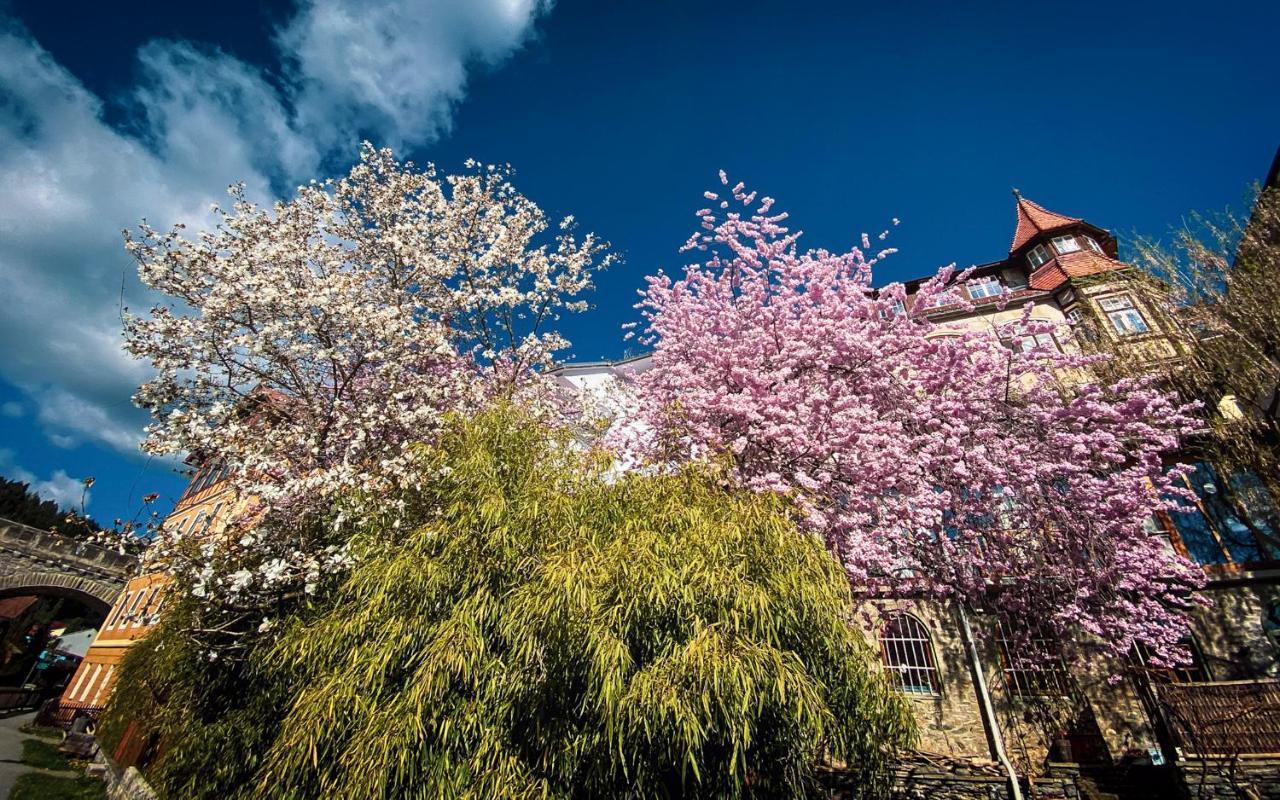 Gartenloft An Der Mur Murau Kültér fotó