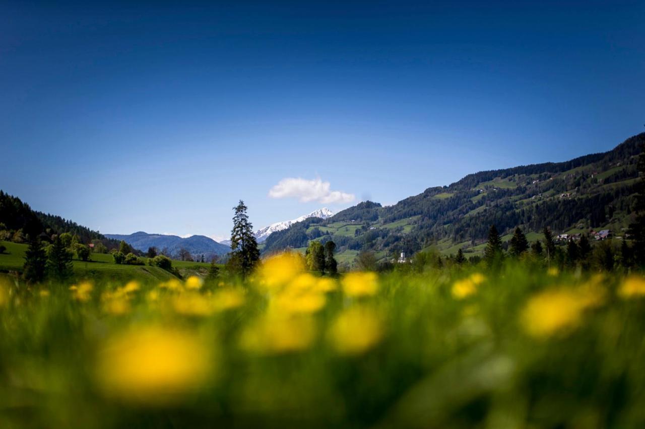 Gartenloft An Der Mur Murau Kültér fotó